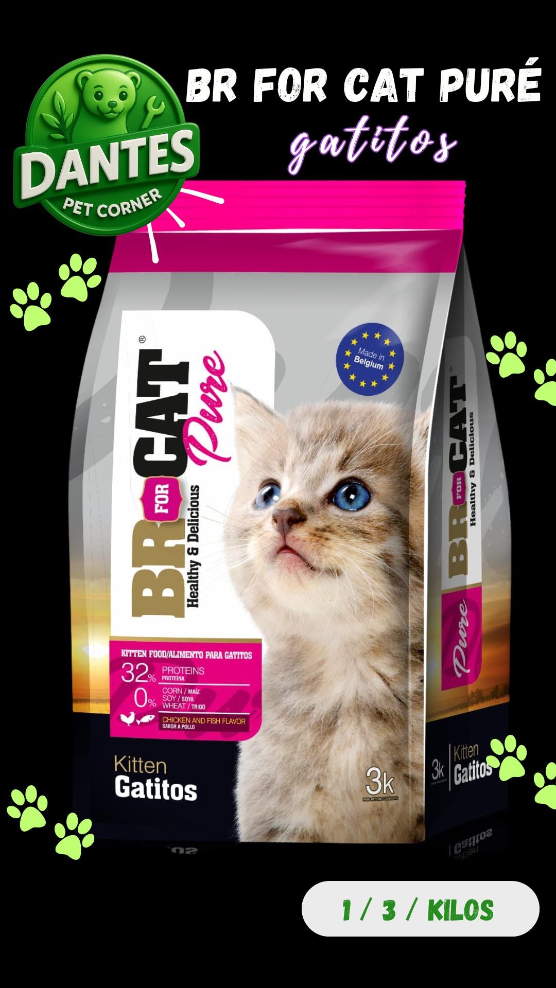 BR for cat puré gatitos