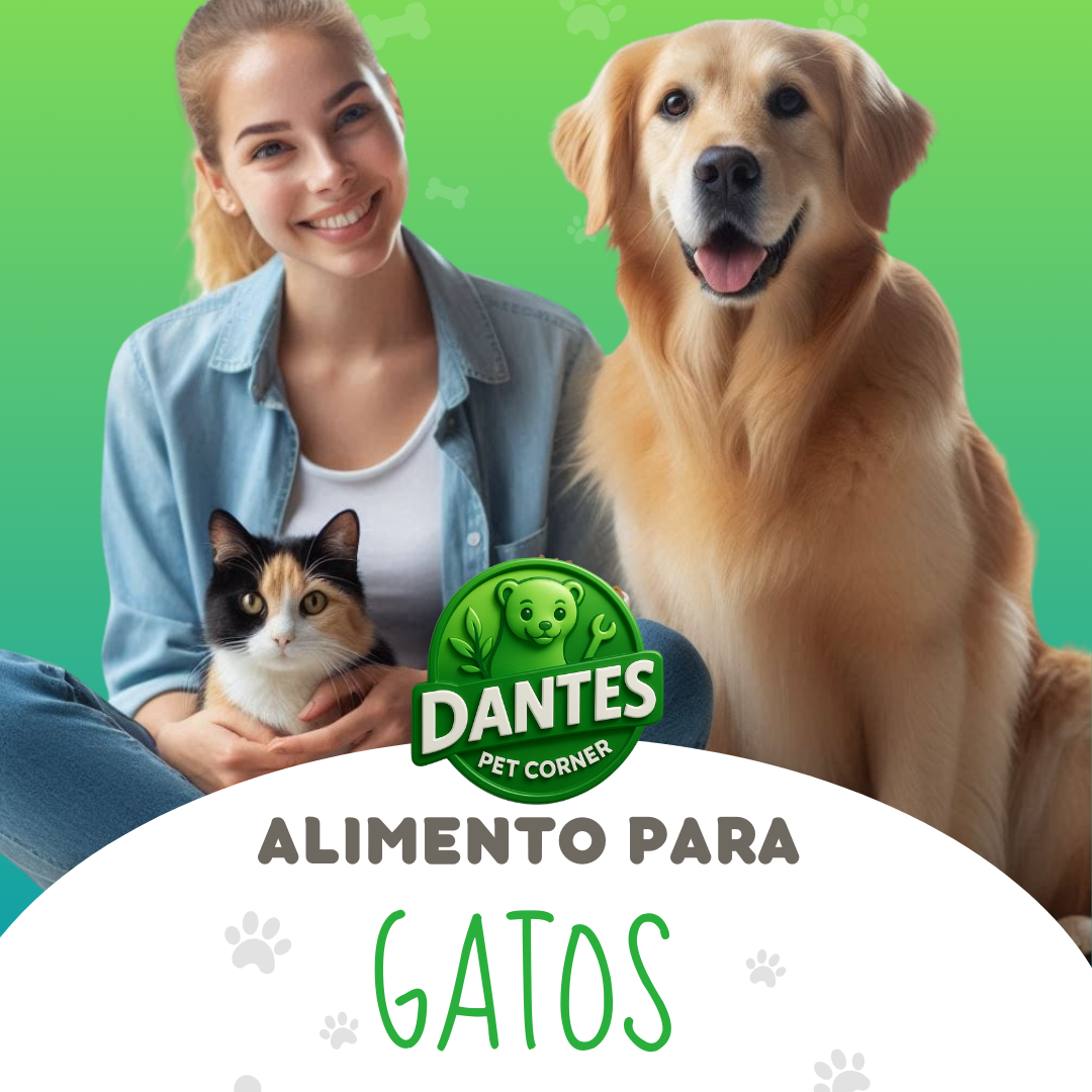 Comida para gatos