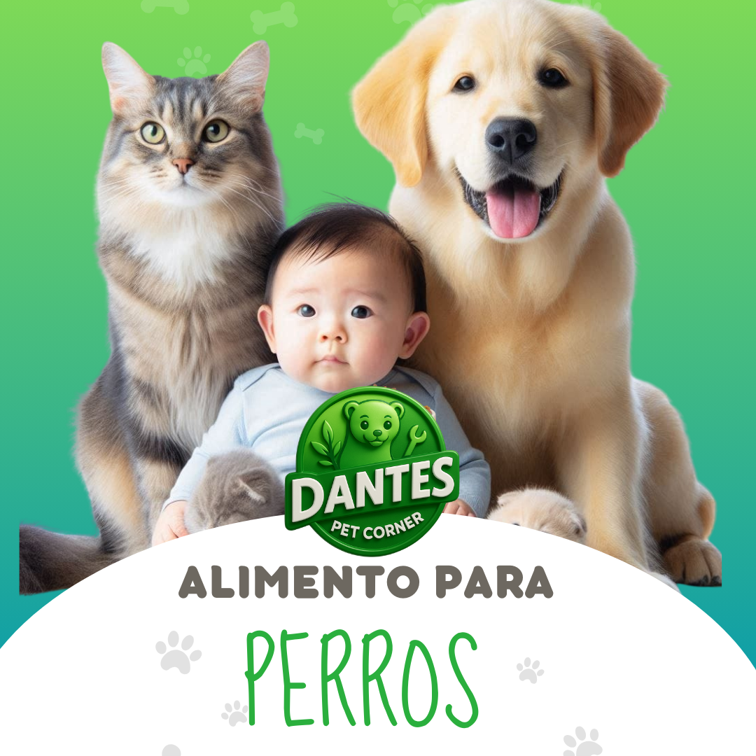 Comida para perros