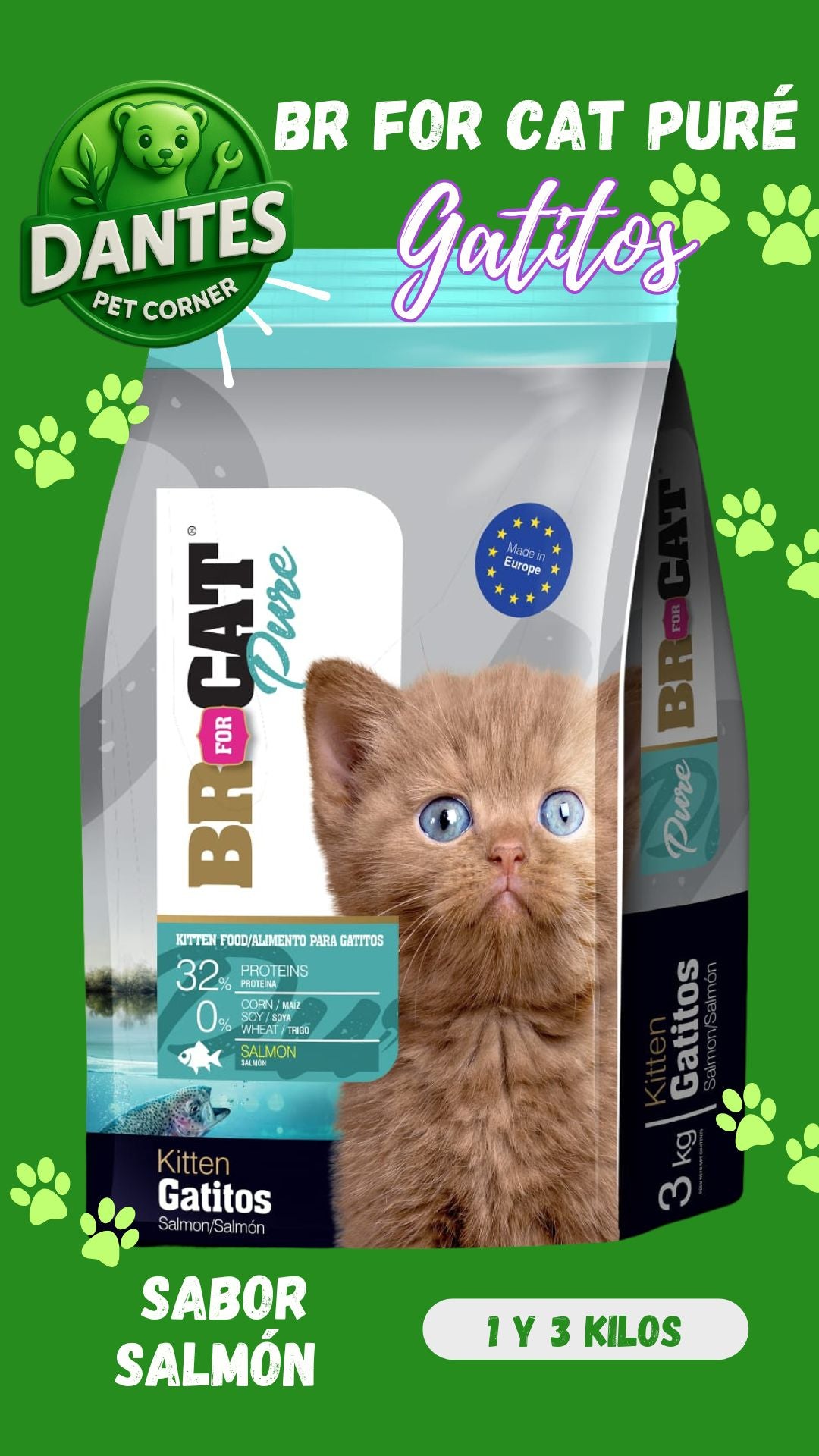 BR for cat puré gatitos sabor a Salmón